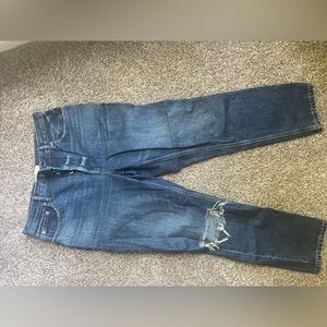 Everlane The Cheeky Jean